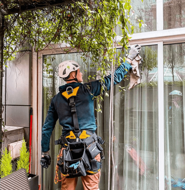 Best Local Window Cleaning