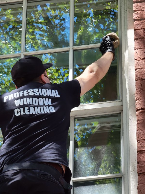 Best Local Window Cleaning