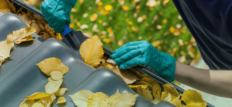 Gutter cleaning and gutter protection
